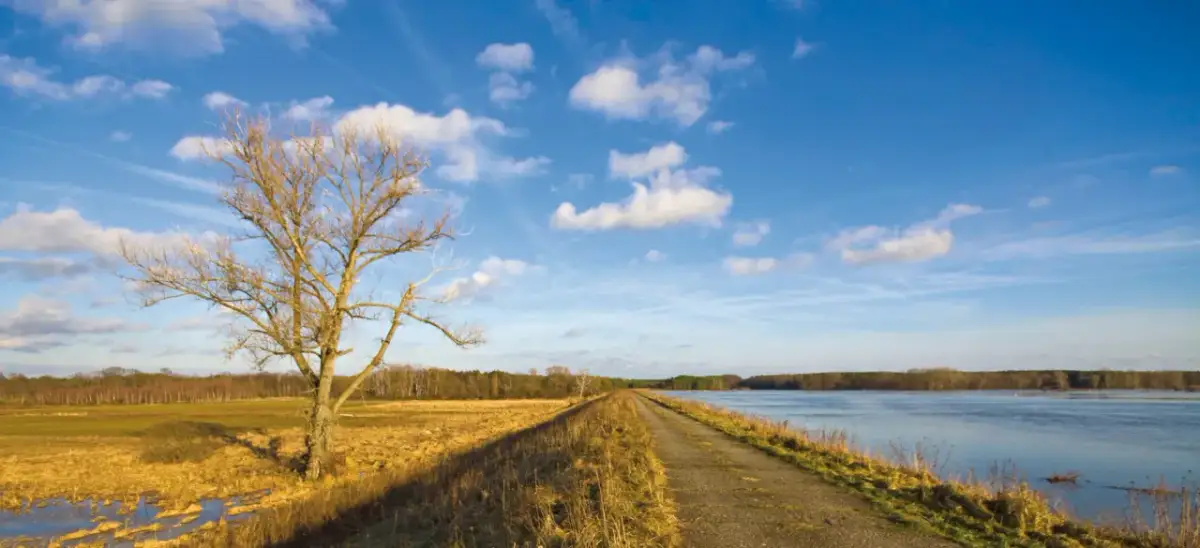 Mapa jezior Lubuskie – odkryj ukryte skarby regionu i plany wypoczynku
