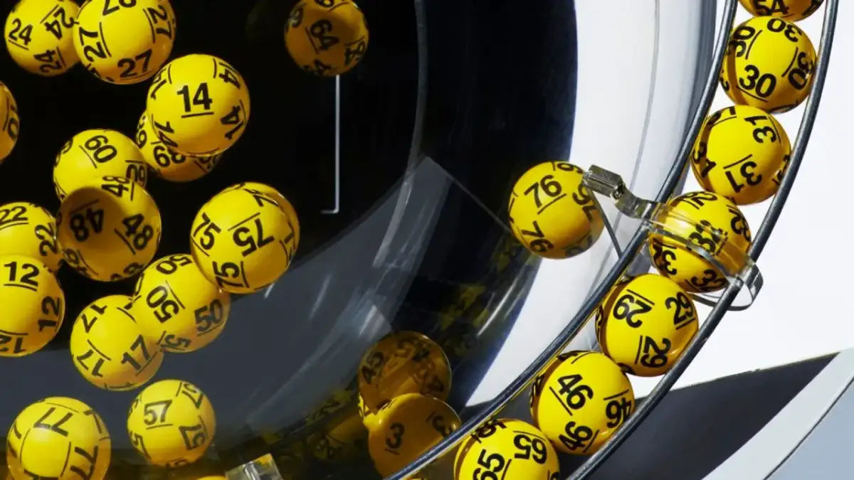 Ile zarabia właściciel Lotto? Zaskakujące fakty o dochodach Totalizatora