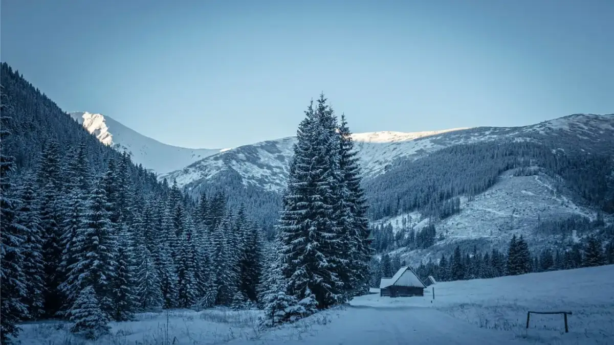 Chochołów: Gdzie zjeść smacznie? Odkryj kulinarne perły Podhala