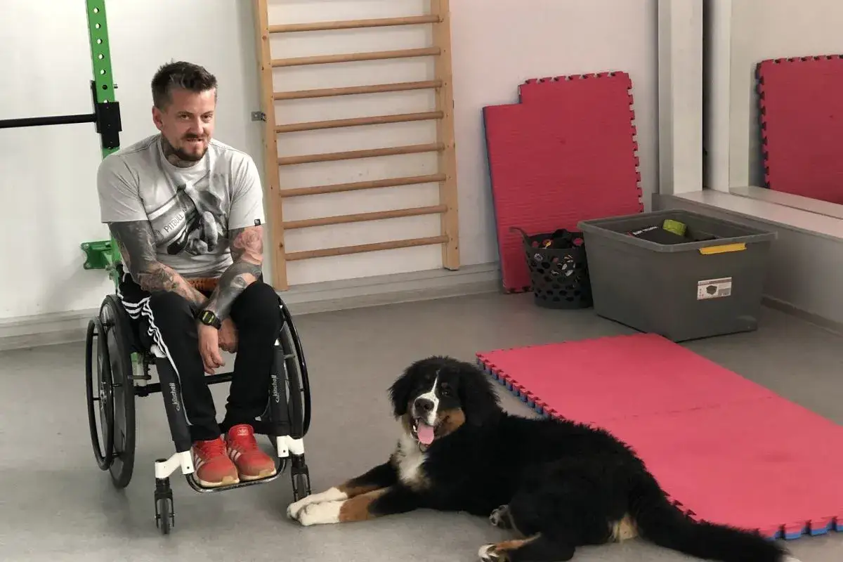 Ile w Polsce jest osób niepełnosprawnych? Zaskakujące statystyki i fakty