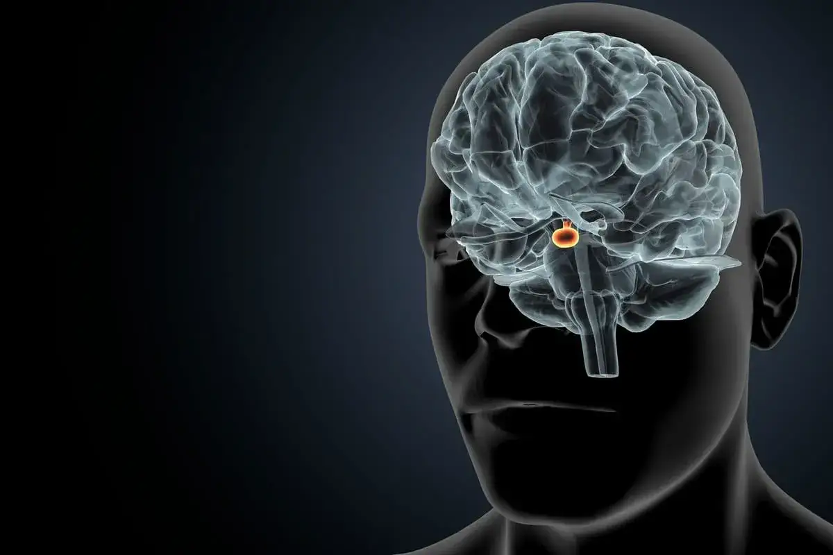 Guz przysadki a psychika: Kiedy to nie depresja, a hormon?