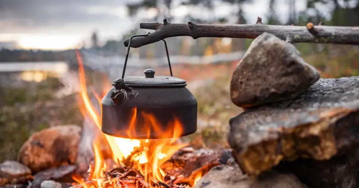 Czy w lesie można palić ognisko? Sprawdź zasady i kary za złamanie przepisów