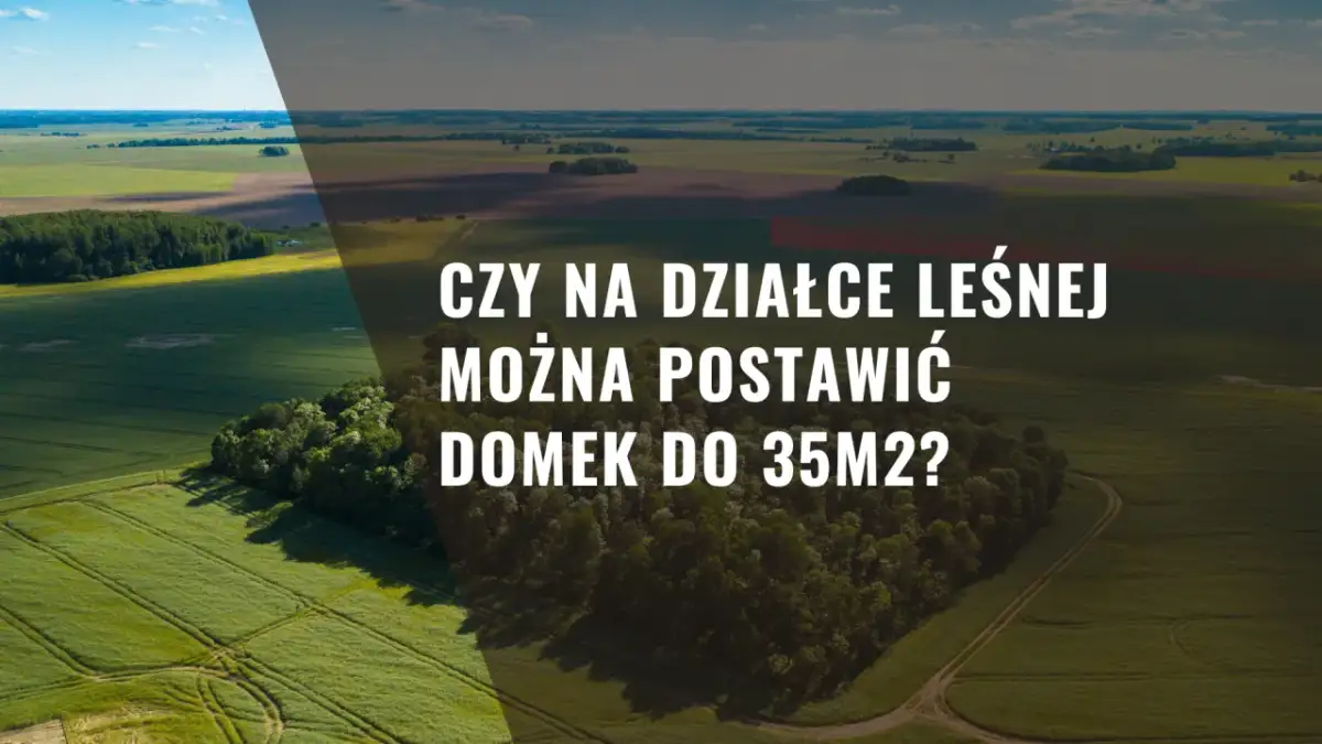 Czy na działce leśnej można postawić domek do 35m2? Sprawdź zasady