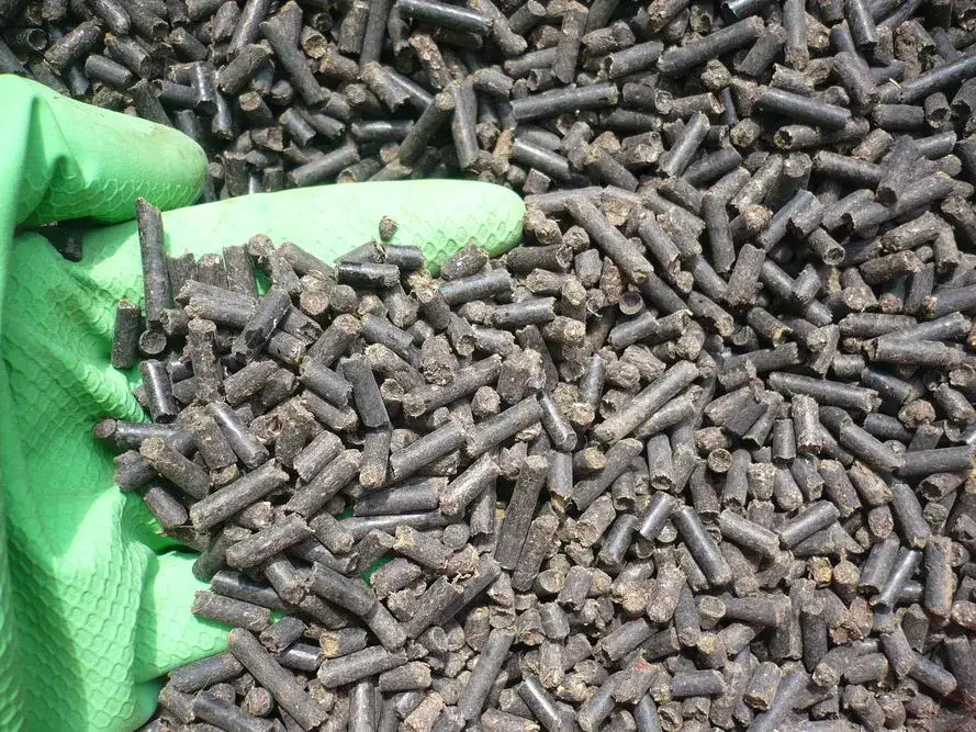 Jak stosować nawóz koński, aby uniknąć błędów w ogrodnictwie