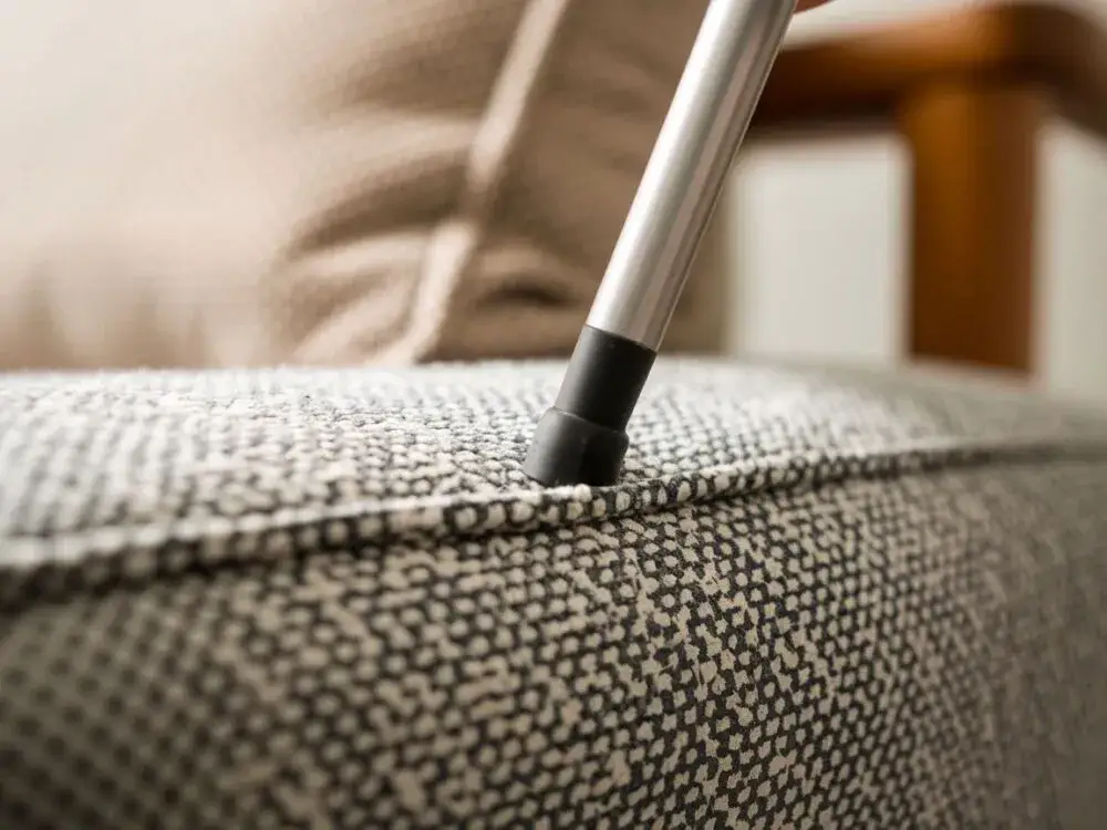 Skuteczne sposoby na to, jak pozbyć się sierści z kanapy