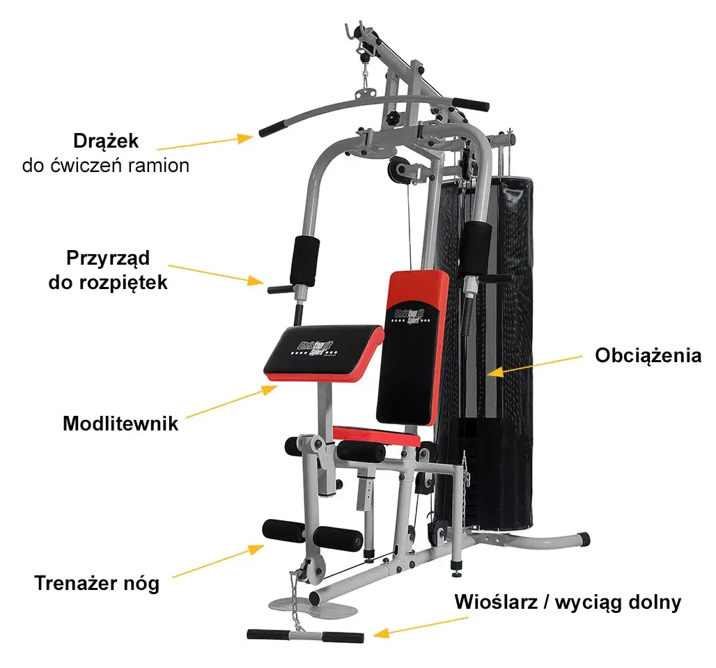 Jakie ćwiczenia na mięśnie? Twój atlas efektywnego treningu