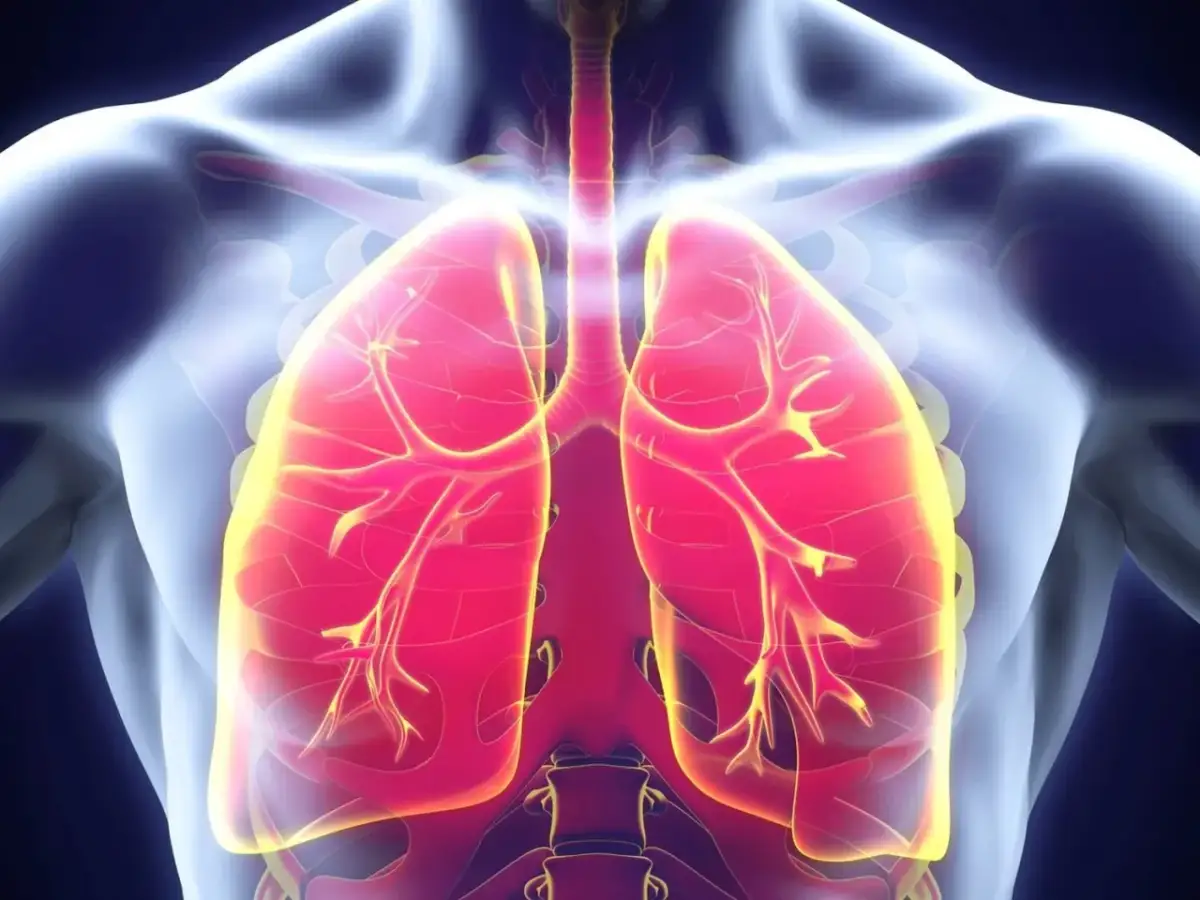 Widok klatki piersiowej z czerwonymi płucami. Czy płuca bolą? Zastanawiasz się, czy to normalne, gdy czujesz dyskomfort w klatce piersiowej.