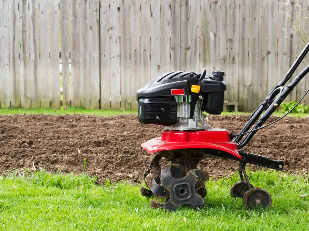 Glebogryzarka jaką wybrać - uniknij kosztownych błędów przy zakupie