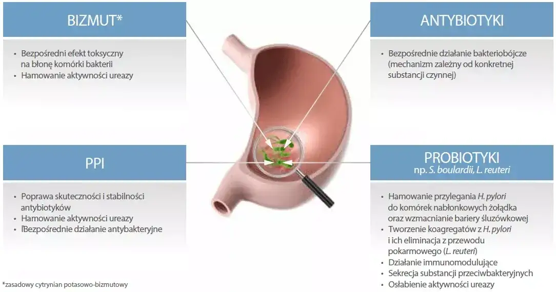 Skuteczne leki na helicobacter pylori - uniknij powikłań zdrowotnych