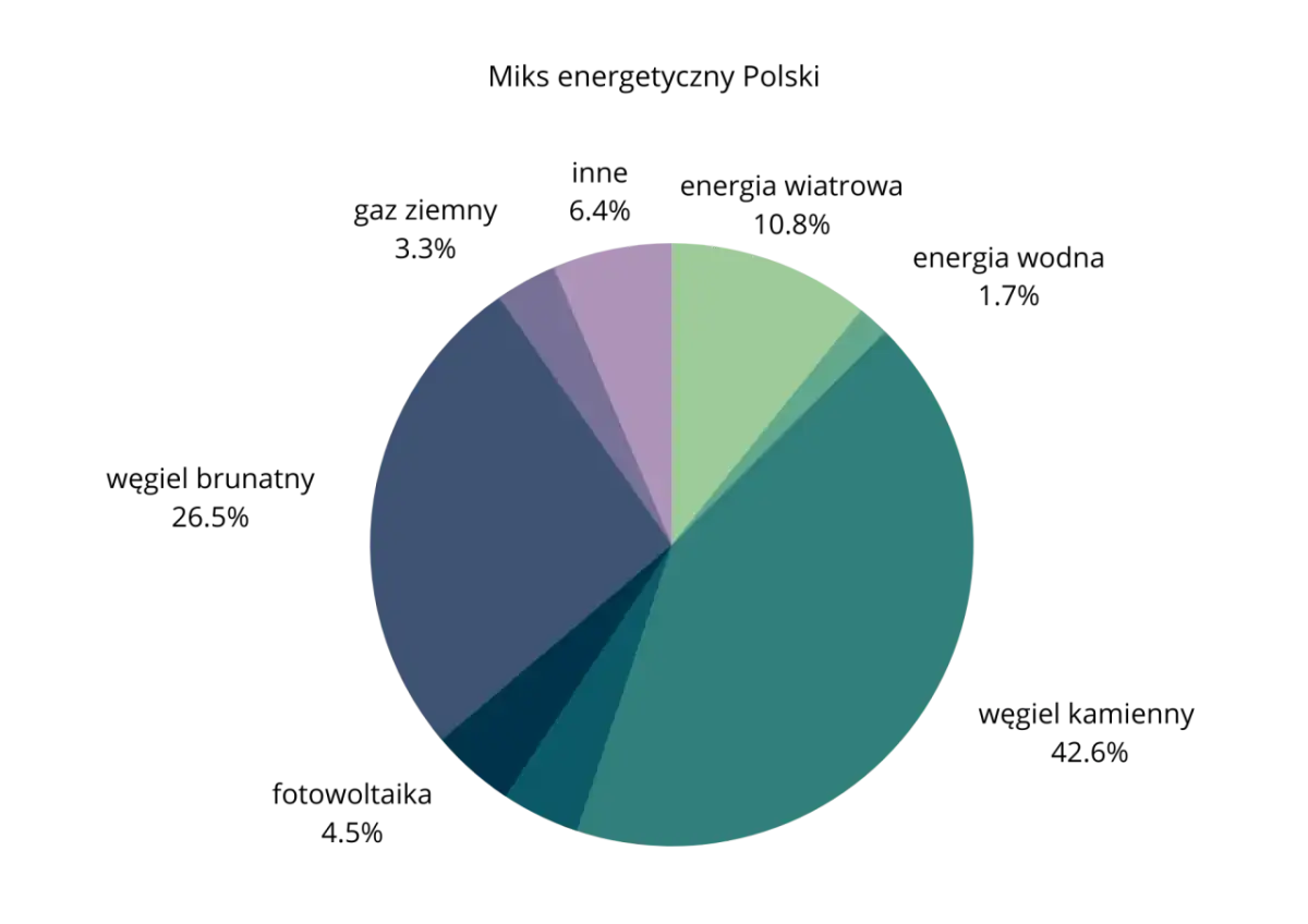 Wykres kołowy pokazujący zróżnicowany miks energetyczny Polski.