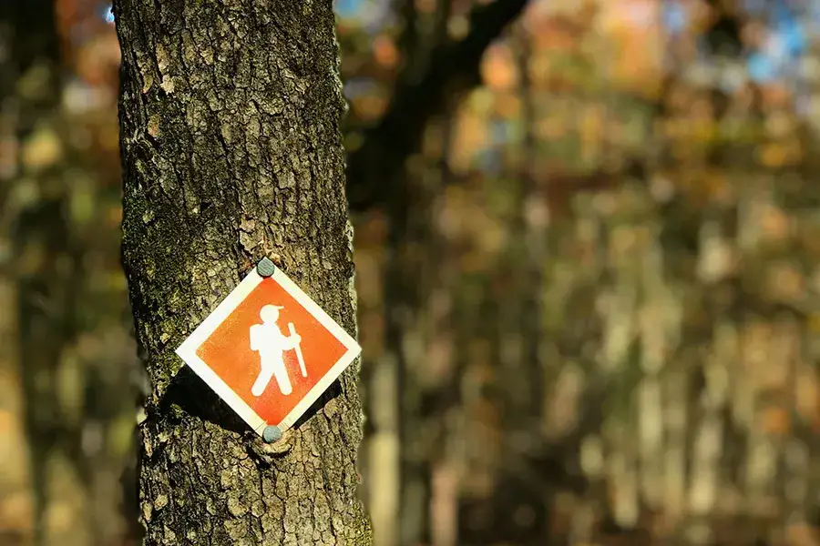 Niebieski szlak PTTK: Co oznacza? Obalamy mity o trudności!