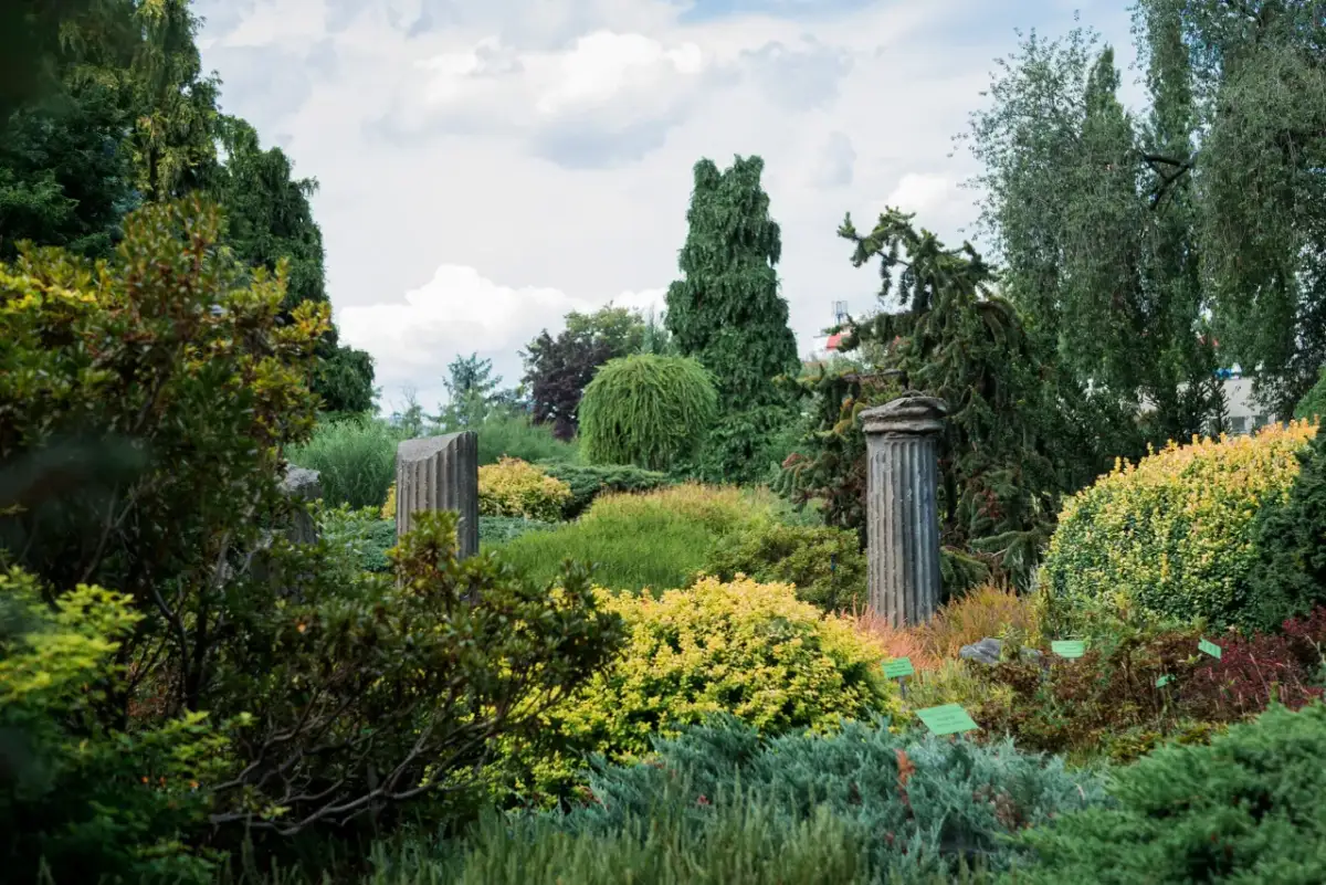 Gdzie na spacer z psem Wrocław - najlepsze miejsca dla czworonogów