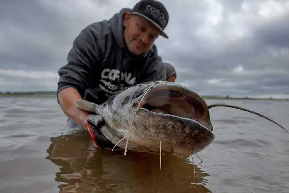 Jaka wędka na suma z gruntu? Wybierz świadomie i łów skutecznie!