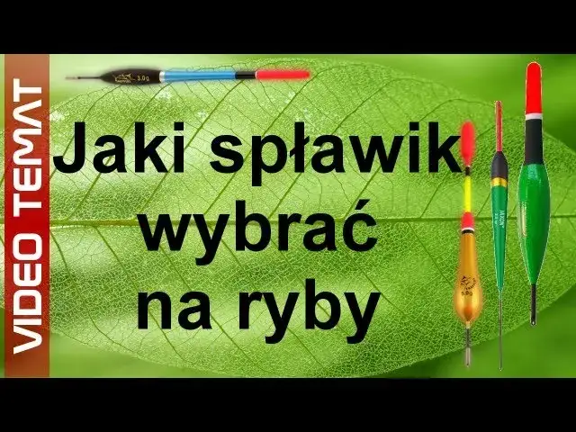 Jaki spławik na rzekę? Dobierz gramaturę i łów skuteczniej!