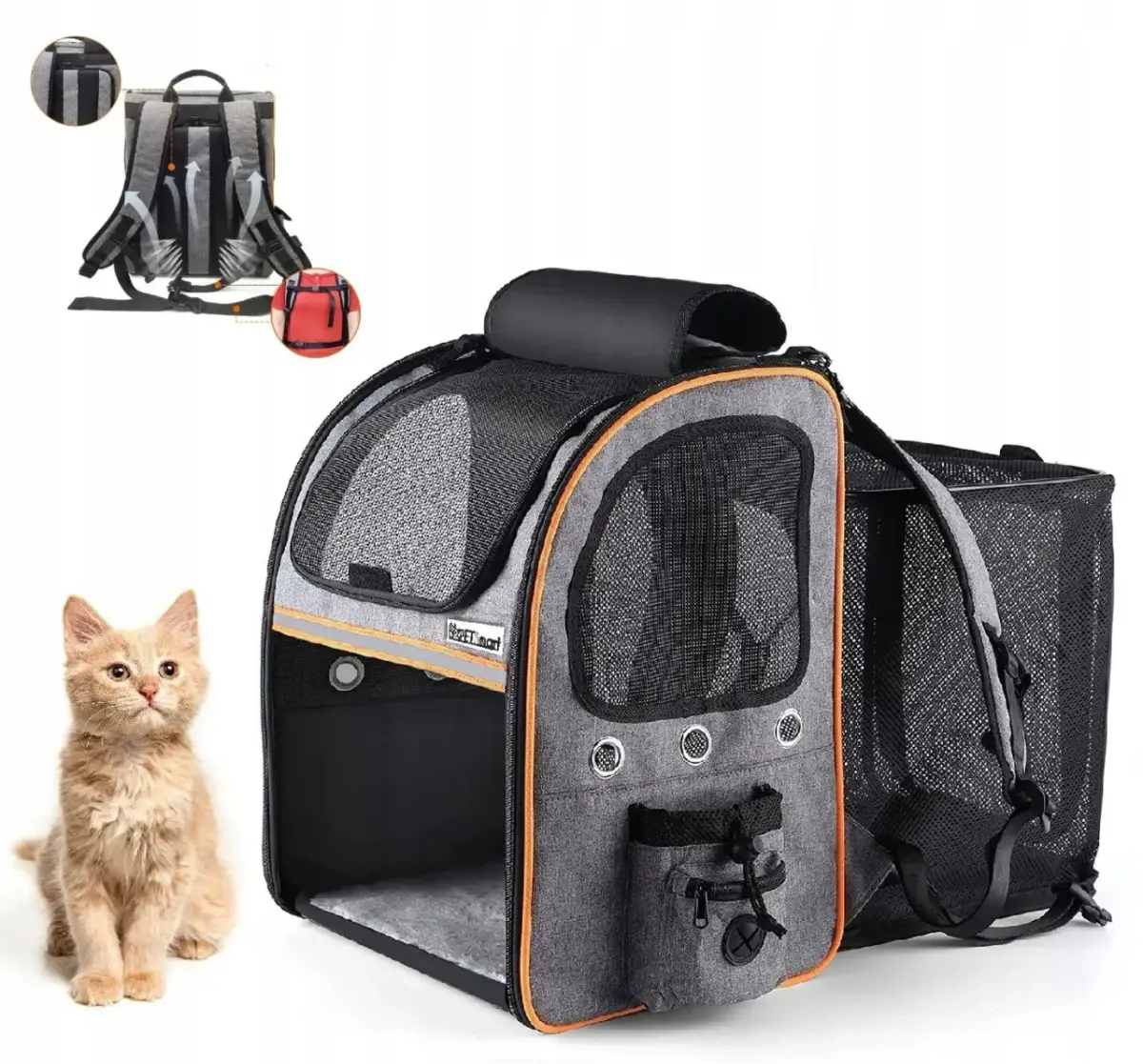 Plecak dla kota: Jak wybrać bezpieczny i wygodny transporter?