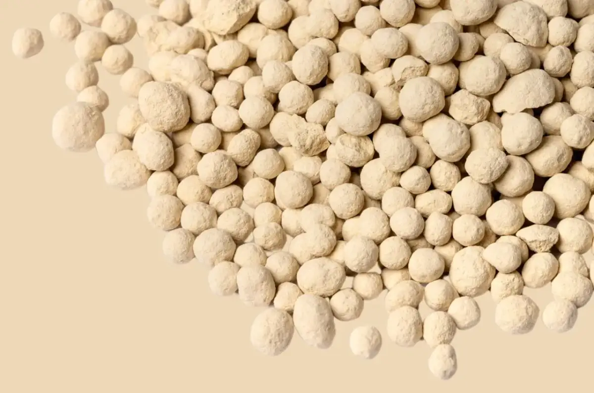 Jakie wapno do kompostu wybrać? Poznaj rodzaje i ich dawkowanie