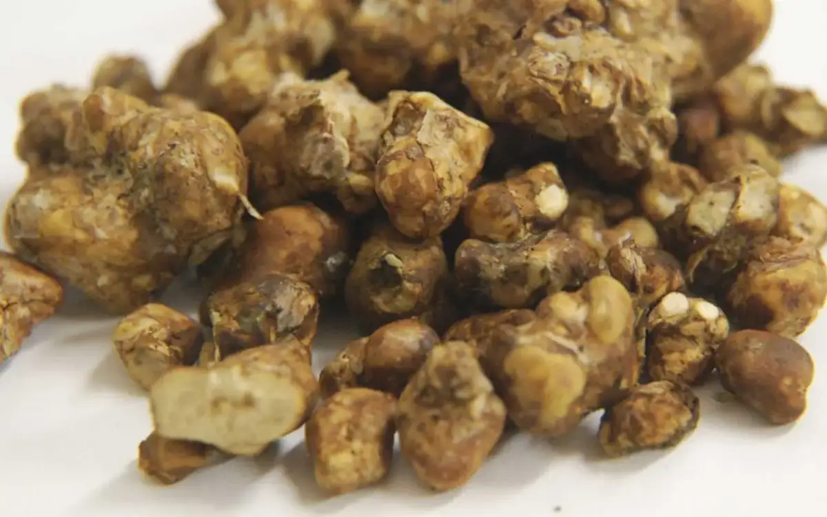 Magiczne trufle w Holandii: Co legalne, a co zakazane w PL?