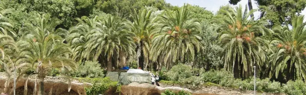 Gdzie bez paszportu? Odkryj kraje, które możesz odwiedzić łatwo