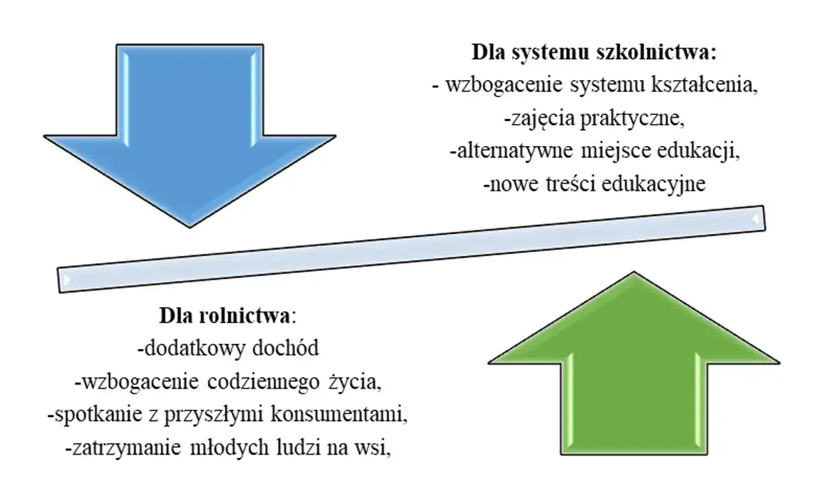 Jak założyć zagrodę edukacyjną? Przewodnik po formalnościach i dofinansowaniu