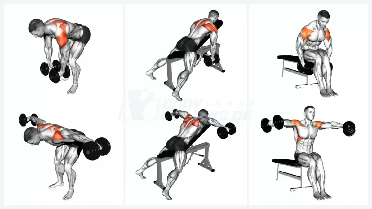 Schultertraining mit Hanteln: Effektive Übungen für Muskelwachstum