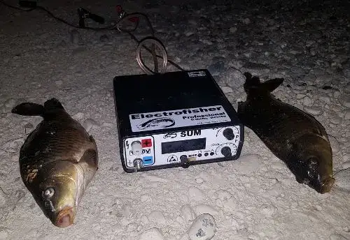 Jak zrobić wędkę elektryczną - proste kroki i niezbędne materiały