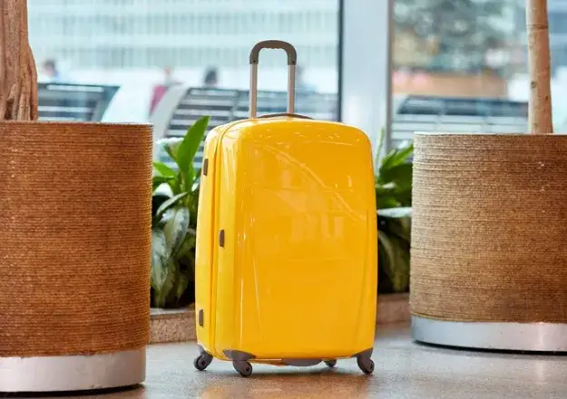 Jak sprawdzić biuro podróży Wezyr i uniknąć oszustw?