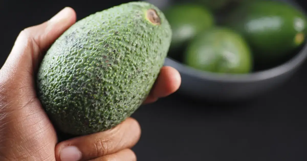 Dłoń trzyma dojrzałe awokado. W tle miska z innymi owocami. Zastanawiasz się, kto nie powinien jeść awokado?