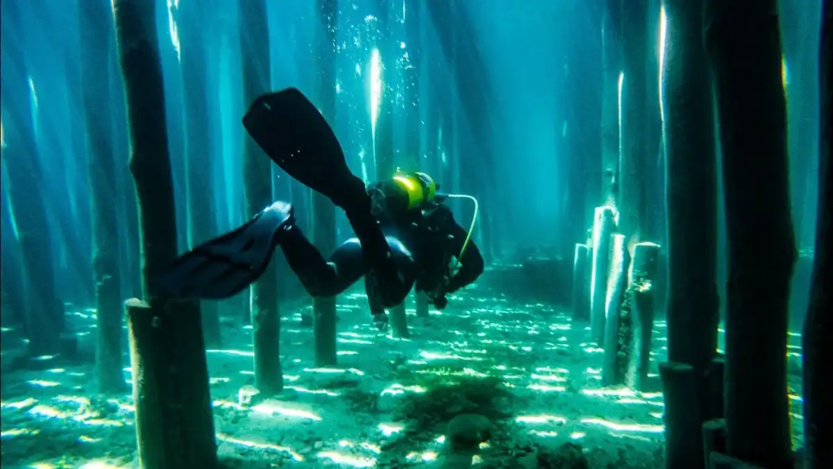 Nurkowanie w Jeziorze Ochrydzkim: Tajemnice podwodnego raju