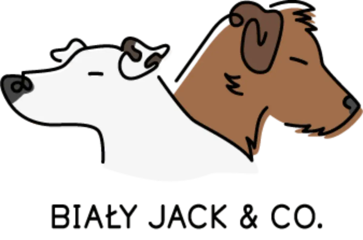 Dwa psy, biały i brązowy, patrzą w bok. Biały Jack i jego przyjaciel.