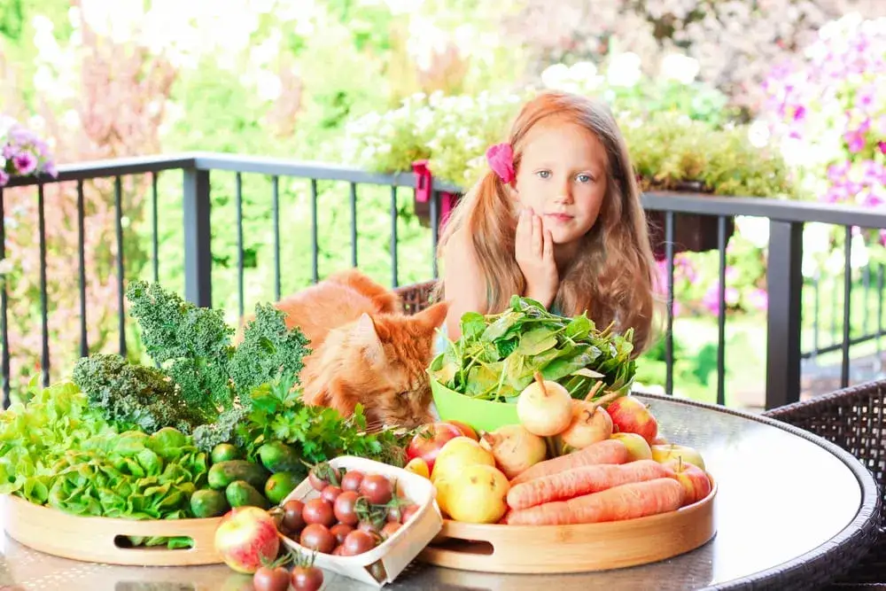 Dieta wegetariańska u dzieci: Bezpieczna? Klucz do zdrowego rozwoju.