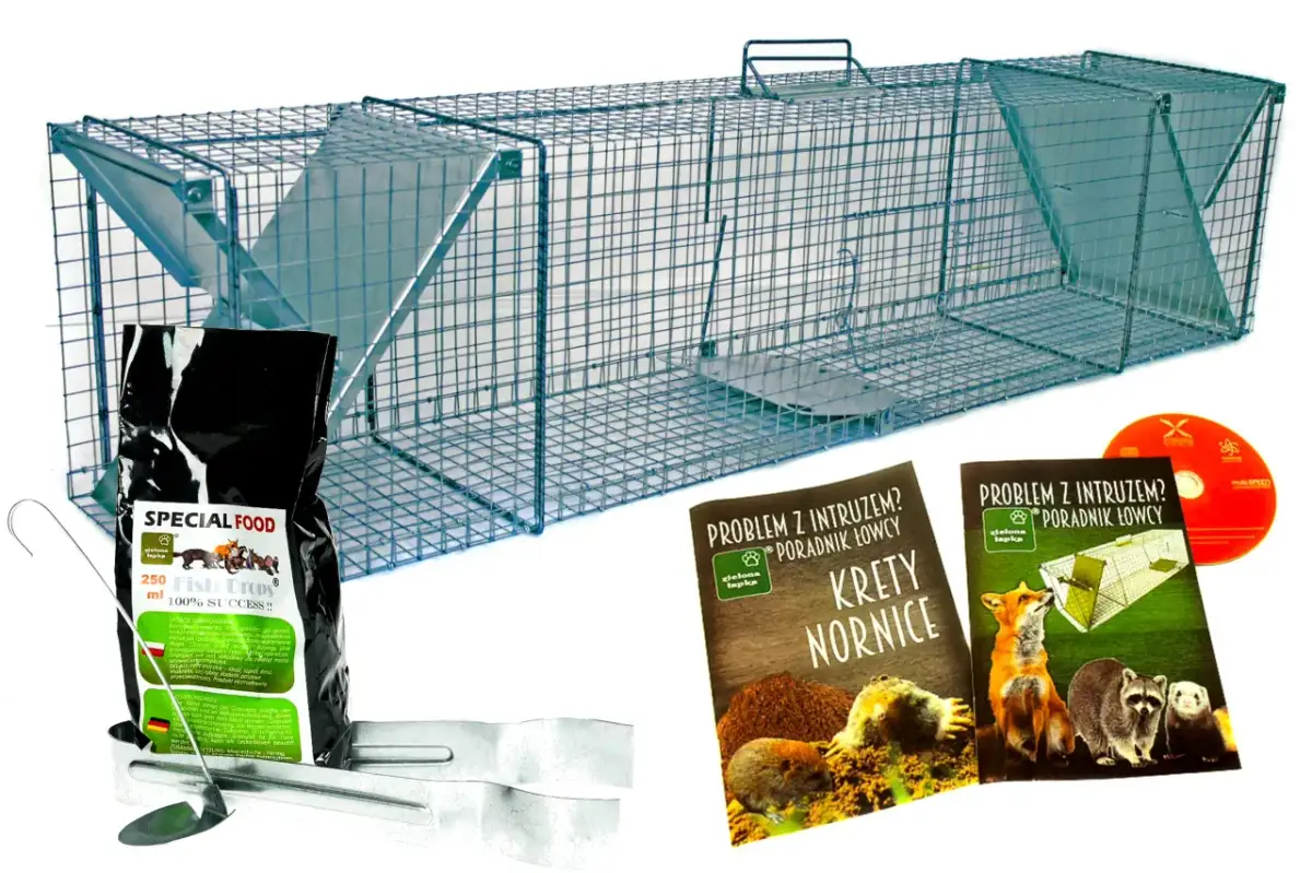 Najlepsze przynęty na kunę, które skutecznie przyciągną te zwierzęta