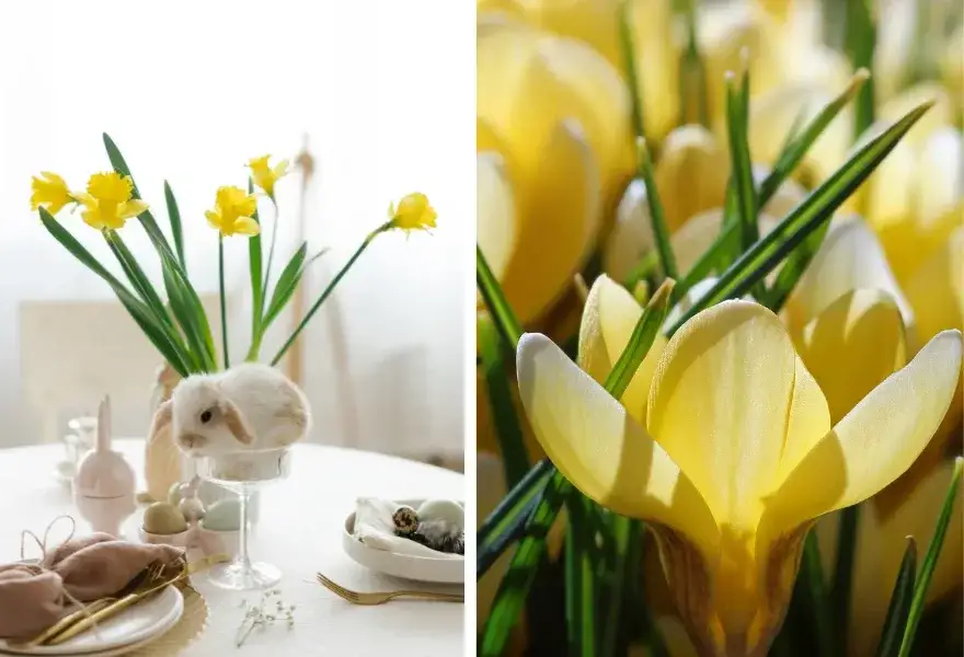Jak ozdobić stół na Wielkanoc? Inspiracje i porady 2025