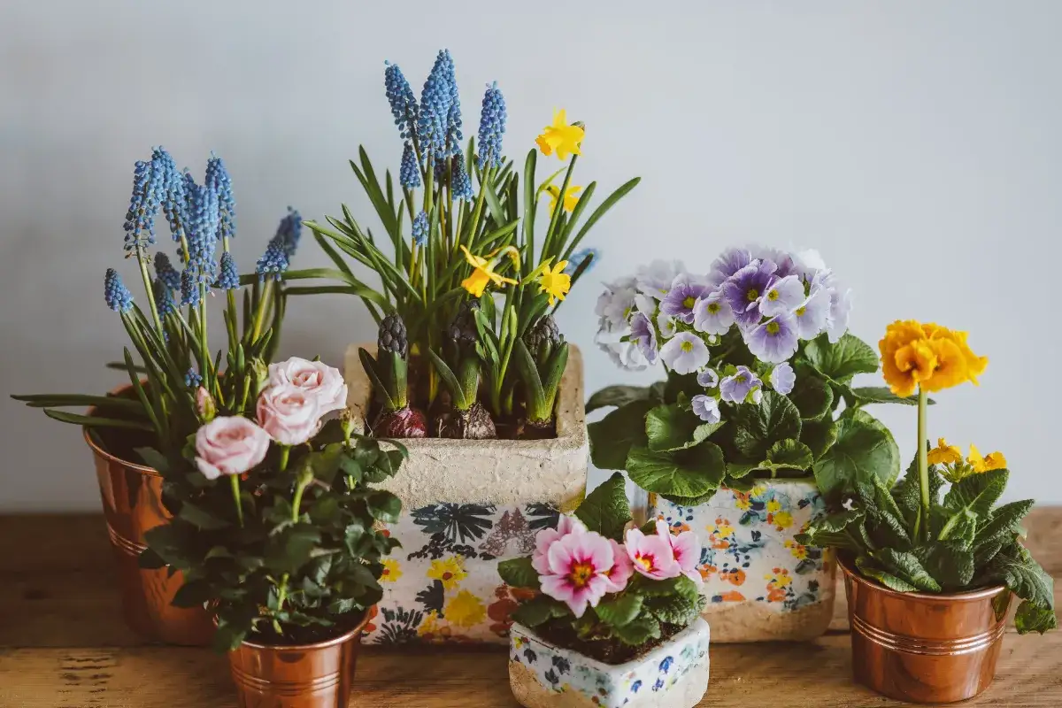 Jak ozdobić doniczkę na cmentarz, aby wyrazić pamięć i szacunek