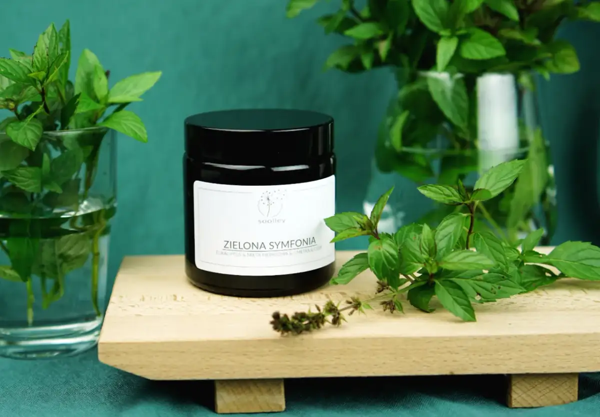 Najlepsze świeczki o zapachu mięty – poznaj wyjątkowe aromaty