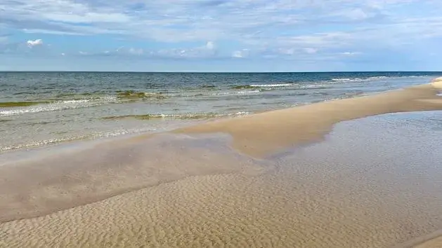 Protisty w Bałtyku: Niewidzialni bohaterowie czy cisi zabójcy?