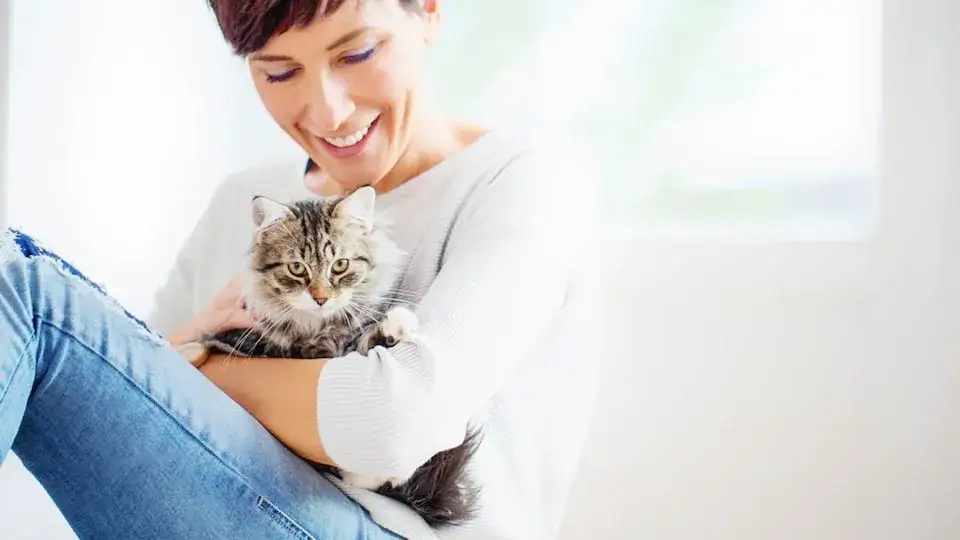 Por qué mi gato me amasa y qué significa este comportamiento afectuoso