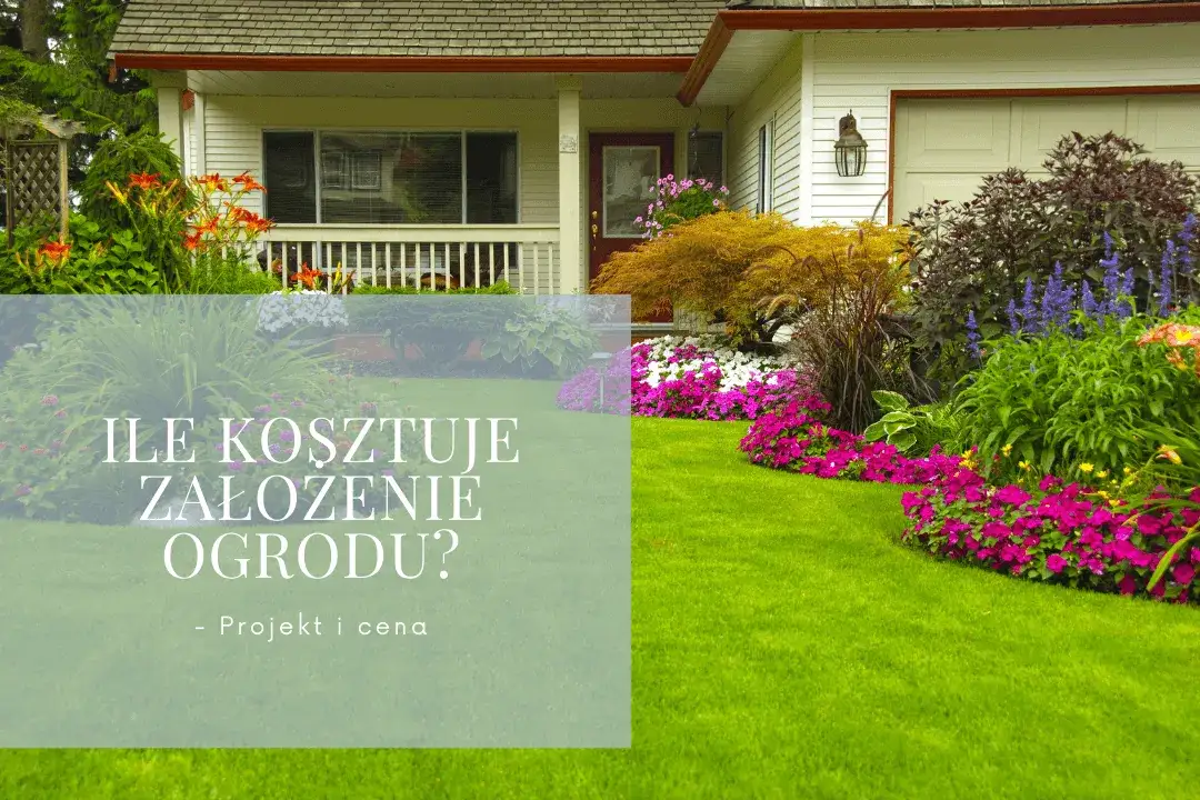 Ile kosztuje wykonanie ogrodu? Poznaj ceny i czynniki wpływające