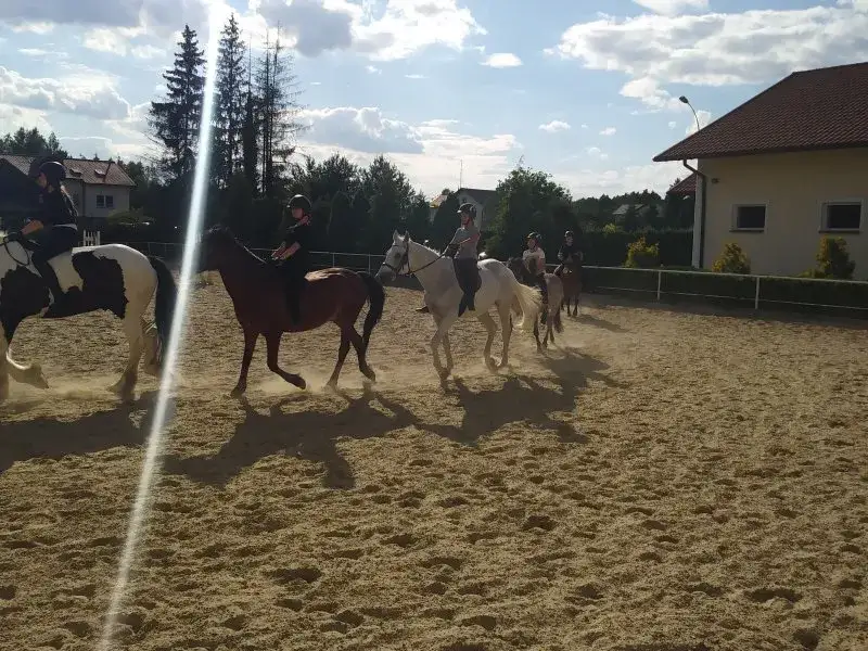 Stadnina koni Leśna Wola Rzeszów – idealne miejsce na jazdę konną