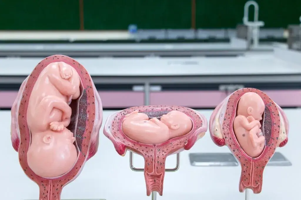 Waga dziecka w 37. tygodniu ciąży - normy i czynniki wpływu