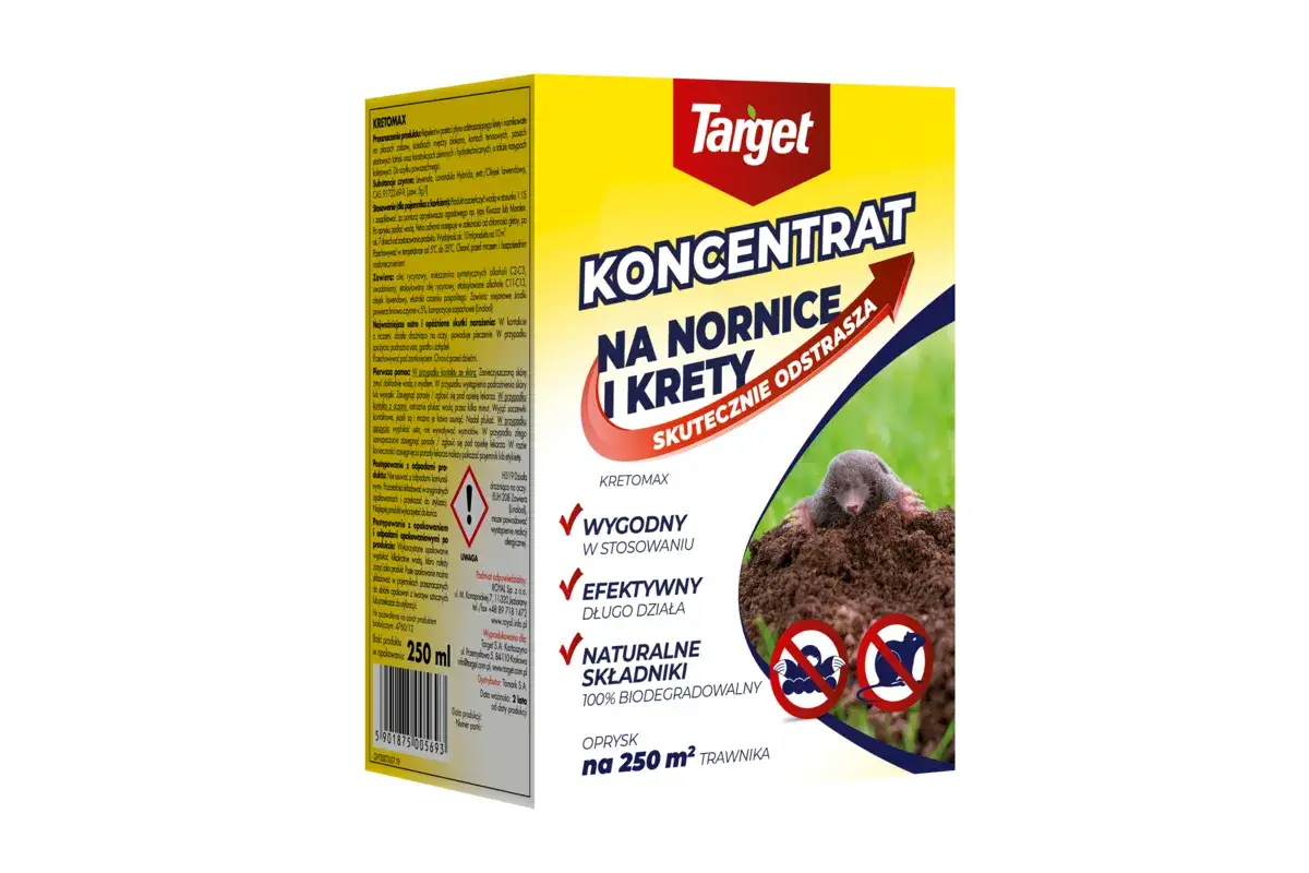 Kotwy do huśtawki Castorama: Wybierz i zamontuj bezpiecznie!