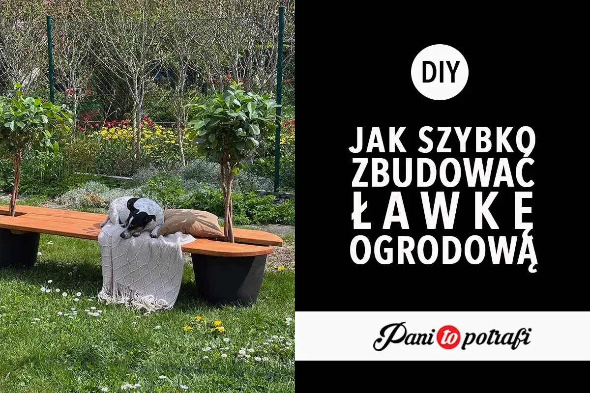 Jak samemu zrobić ławkę ogrodową? Piesek odpoczywa na gotowej, drewnianej ławce w otoczeniu zieleni.
