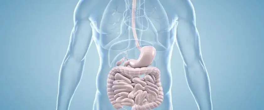 Jak działają leki na przeczyszczenie i jakie mają skutki uboczne