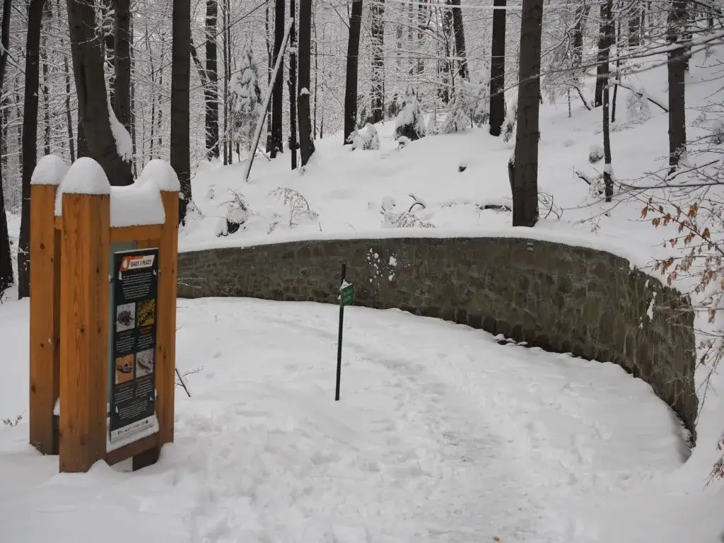 Jak dojechać na Kozią Górę? Szlaki, parkingi, wskazówki dla rodzin