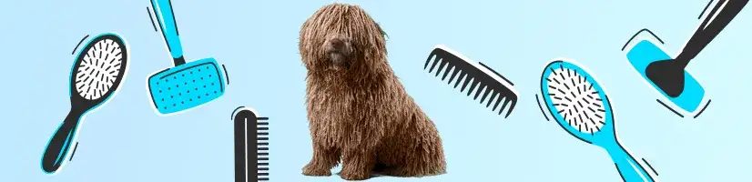 Jaką szczotkę dla psa wybrać, aby uniknąć problemów z sierścią?
