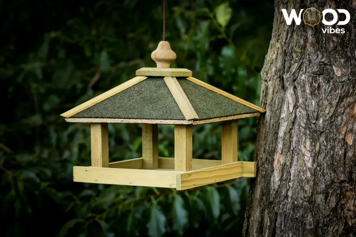 Bezpieczny karmnik dla ptaków: zbuduj go mądrze!