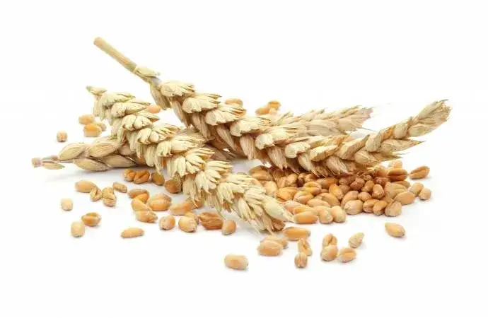 Czy w mące orkiszowej jest gluten? Dowiedz się, co musisz wiedzieć