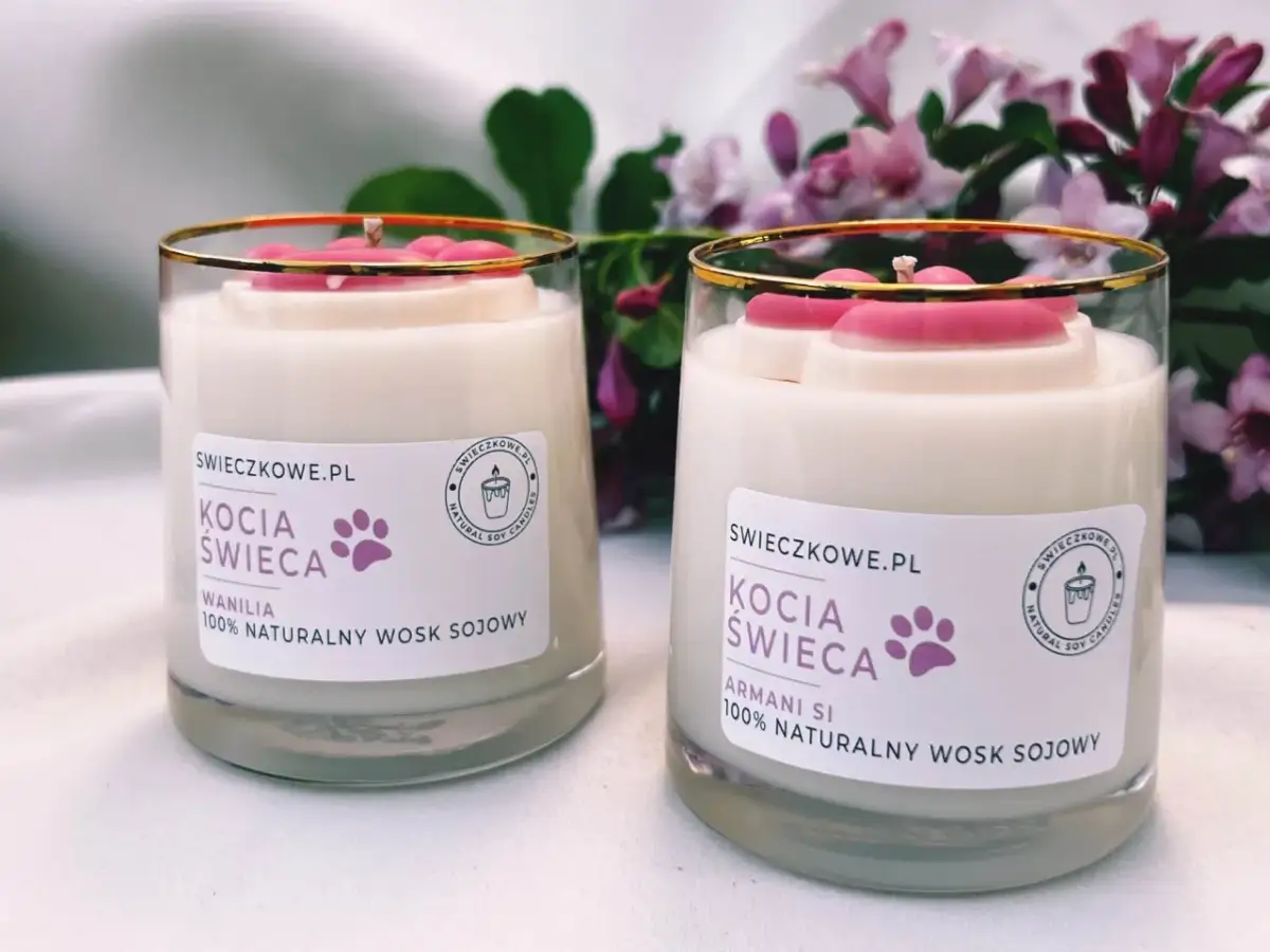 Świeczka o zapachu kocich łapek – najlepsze opcje i opinie klientów