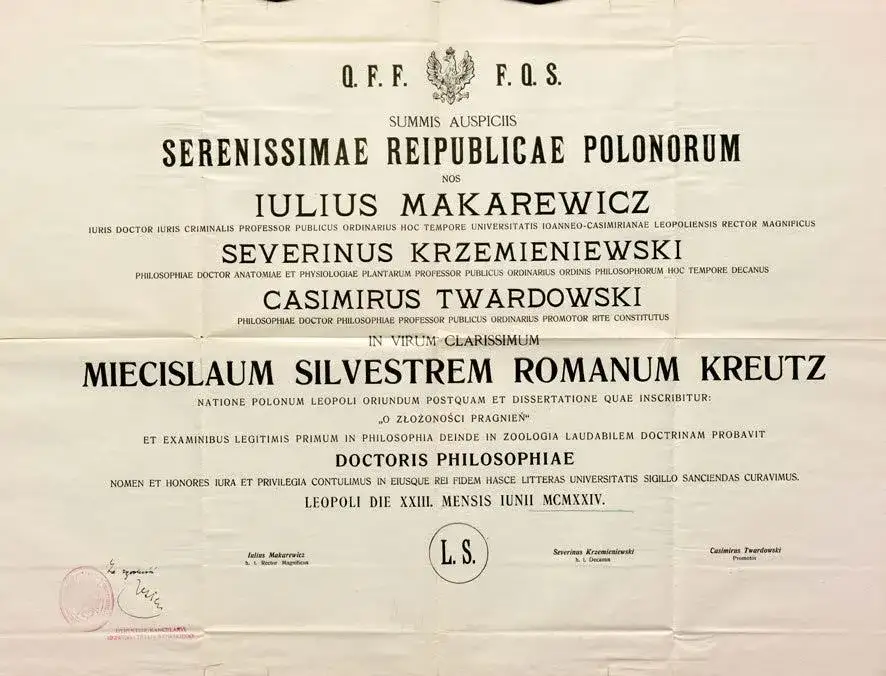 Co to jest odpis dyplomu i dlaczego warto go mieć?