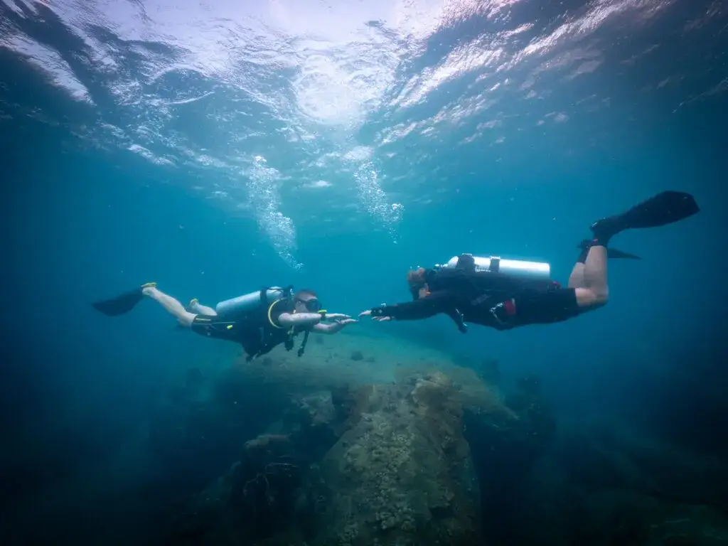 Jak szybko pływać żabką? Opanuj technikę i przyspiesz!