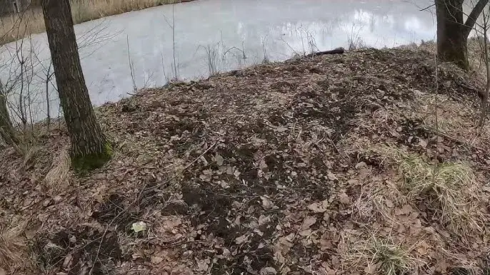 Egzamin na kartę wędkarską: Pytania, RAPR i jak zdać bez stresu.